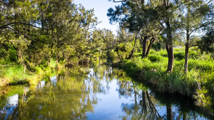 Third view of Homely rural property listing, Lot 2 Illinbah Road, Ferny Glen QLD 4275