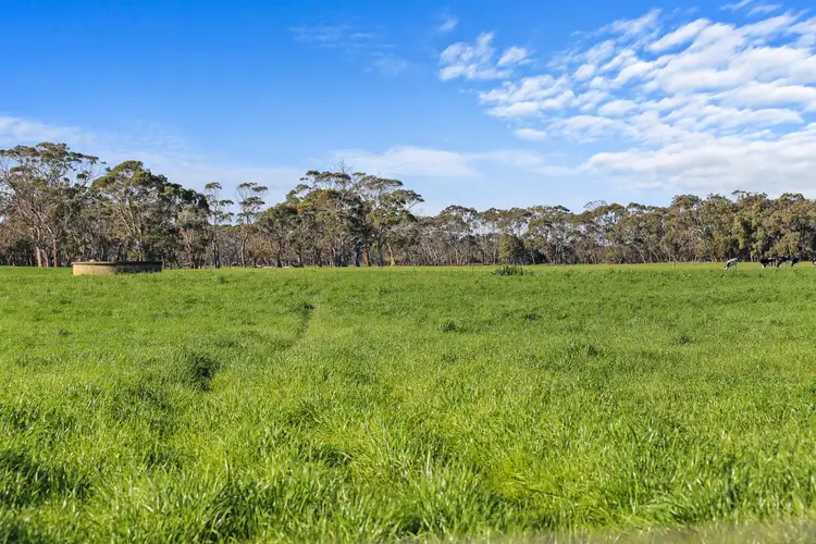 Second view of Homely rural property listing, Renyards Road, Nullawarre VIC 3268