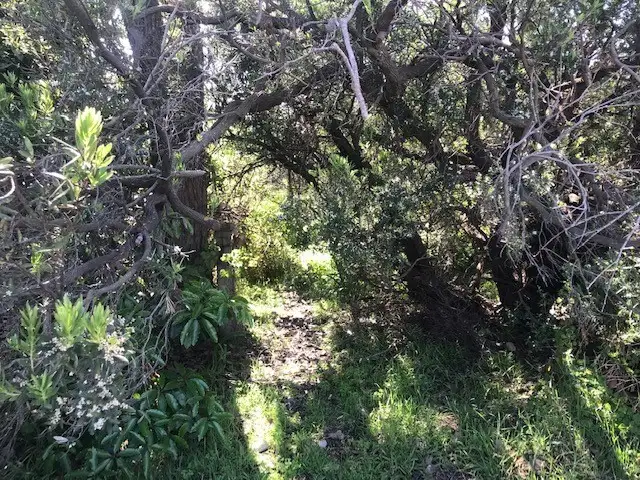 Fourth view of Homely land listing, 75 Condon Crescent, Venus Bay VIC 3956