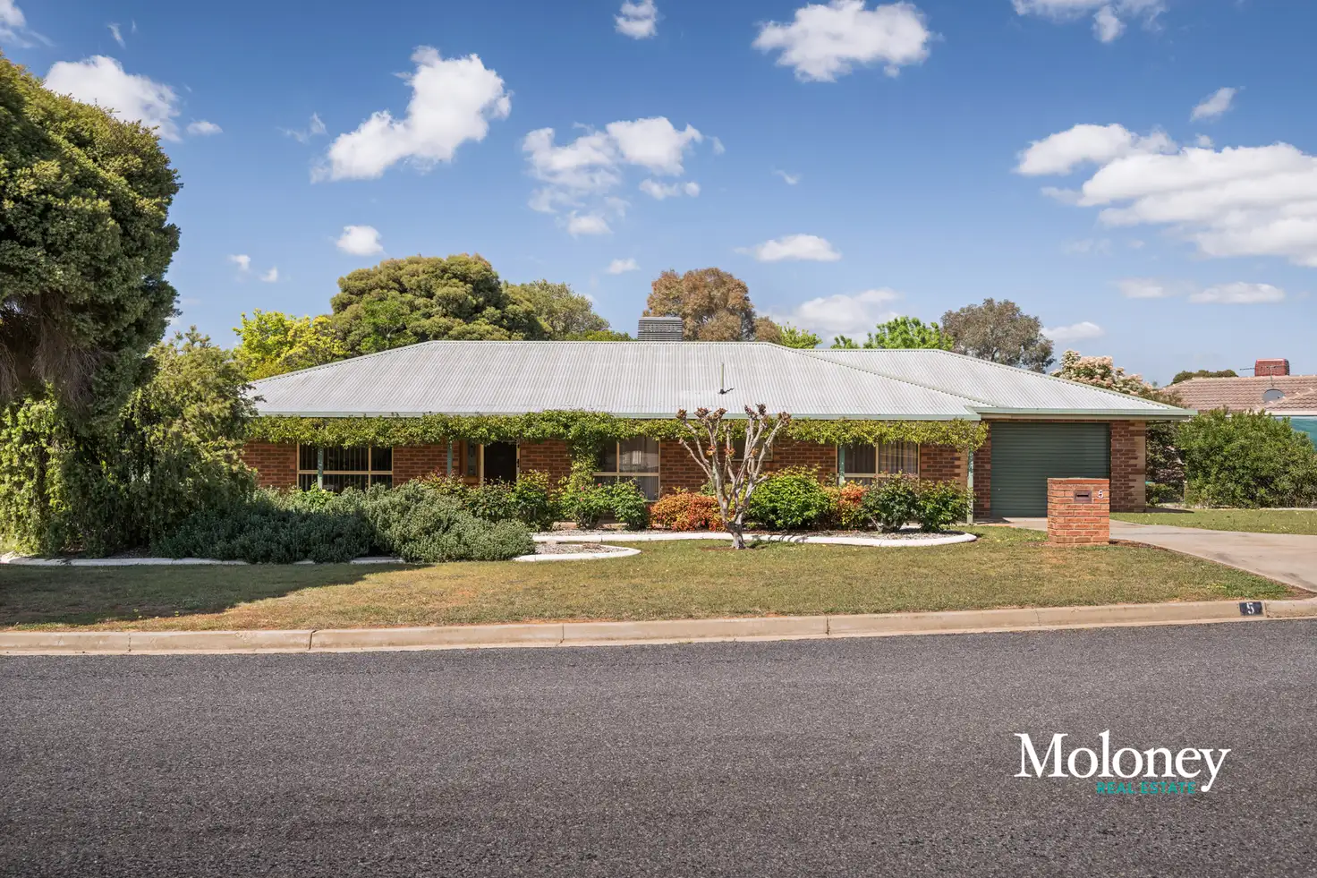 Main view of Homely house listing, 5 Shiraz Crescent, Corowa NSW 2646