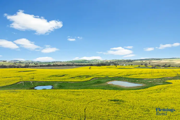 Main view of Homely rural property listing, 482 Rugby Road, Boorowa NSW 2586