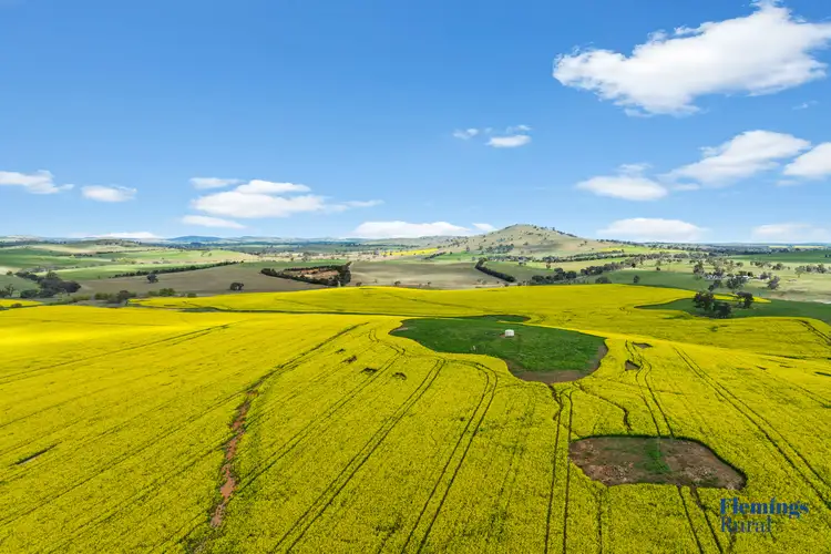 Fourth view of Homely rural property listing, 482 Rugby Road, Boorowa NSW 2586