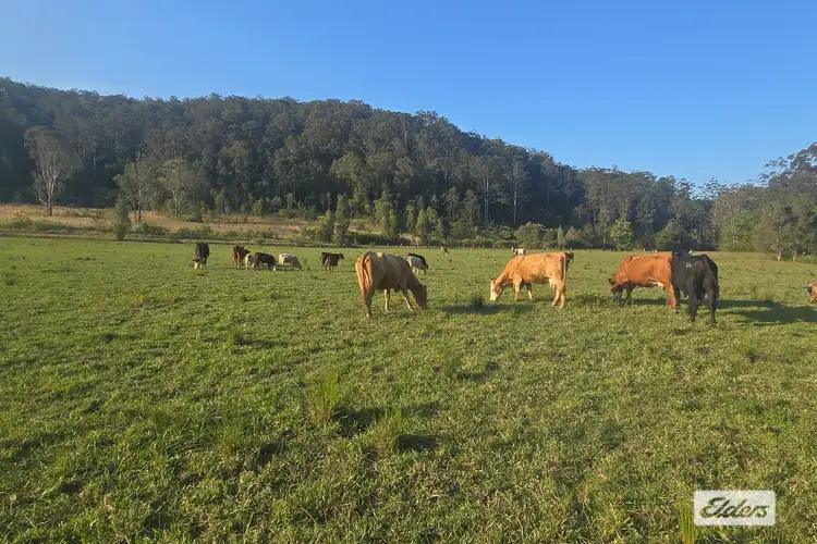 LOT 4 Bulga Road, Marlee NSW 2429
