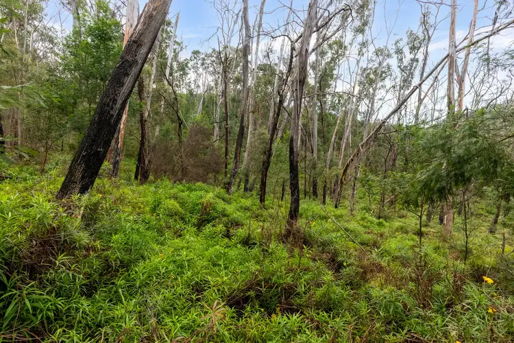 Fifth view of Homely land listing, 25/570 Fulligans Road, Pericoe NSW 2550