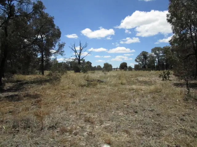 LOT 77 Surat Developmental Road, Tara QLD 4421