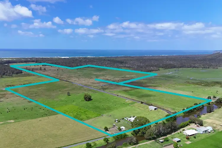 Fourth view of Homely rural property listing, 1415 Belmore River Right Bank Road, Belmore River NSW 2440