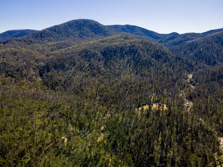Second view of Homely rural property listing, 171/DP750243 Big Jack Mountain Road, Rocky Hall NSW 2550