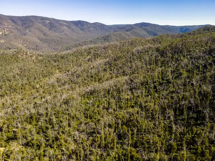 Fourth view of Homely rural property listing, 171/DP750243 Big Jack Mountain Road, Rocky Hall NSW 2550