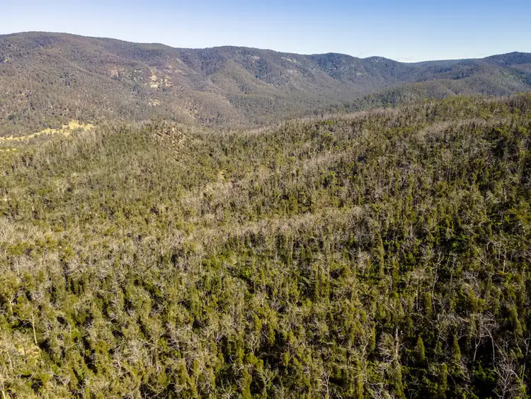 Seventh view of Homely rural property listing, 171/DP750243 Big Jack Mountain Road, Rocky Hall NSW 2550