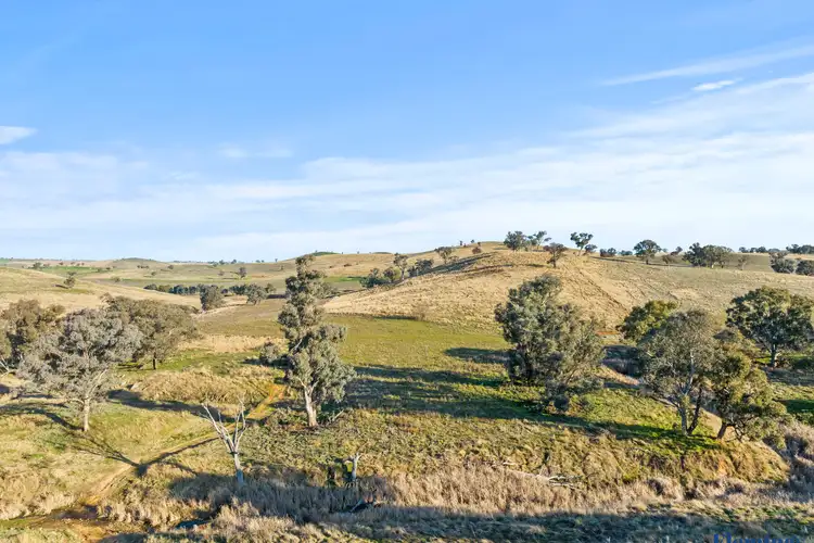Fifth view of Homely rural property listing, 272 Rossi Road, Boorowa NSW 2586