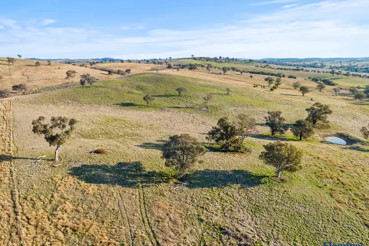 Sixth view of Homely rural property listing, 272 Rossi Road, Boorowa NSW 2586