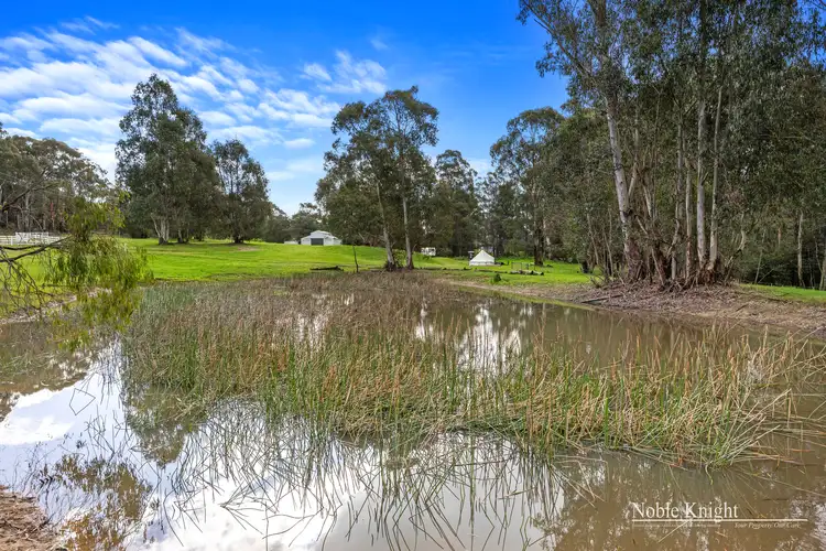Third view of Homely rural property listing, 253 Wilhelmina Falls Road, Murrindindi VIC 3717