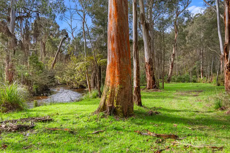 Fourth view of Homely rural property listing, 253 Wilhelmina Falls Road, Murrindindi VIC 3717