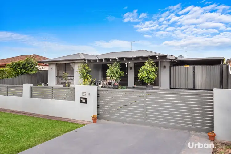 12 Settlers Crescent, Bligh Park NSW 2756