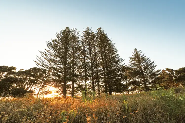 Sixth view of Homely land listing, 84/78 Hutley Drive, Lennox Head NSW 2478
