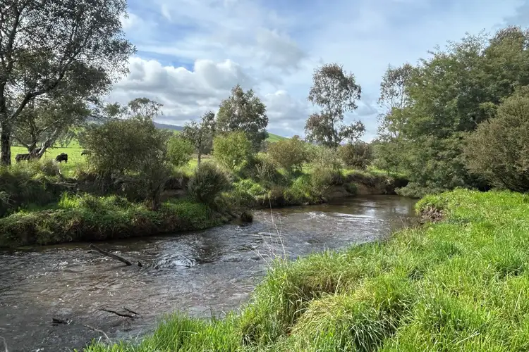 Main view of Homely rural property listing, 156 Creeds Road, Murrindindi VIC 3717
