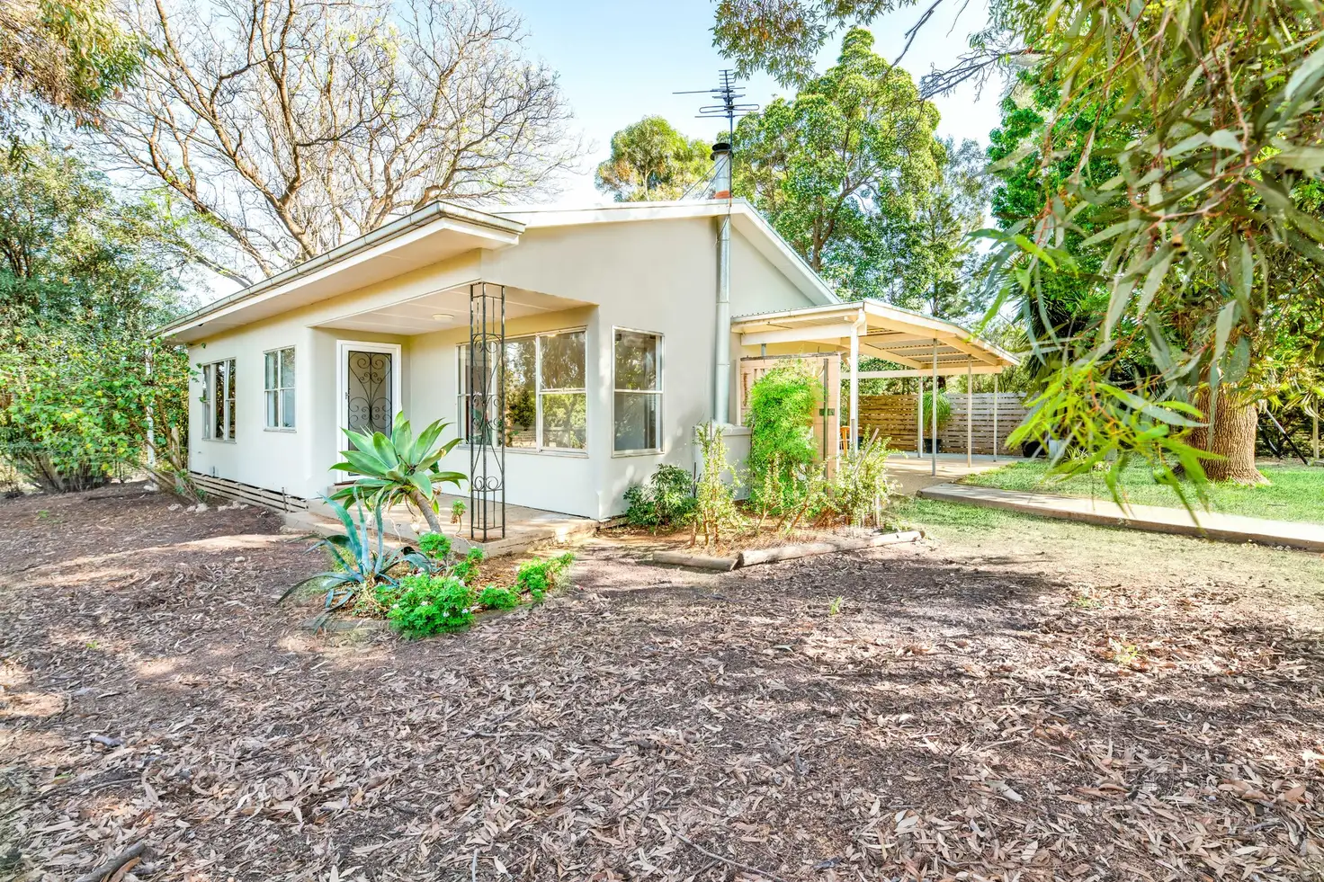 Main view of Homely house listing, 97 Lowan Avenue, Red Cliffs VIC 3496
