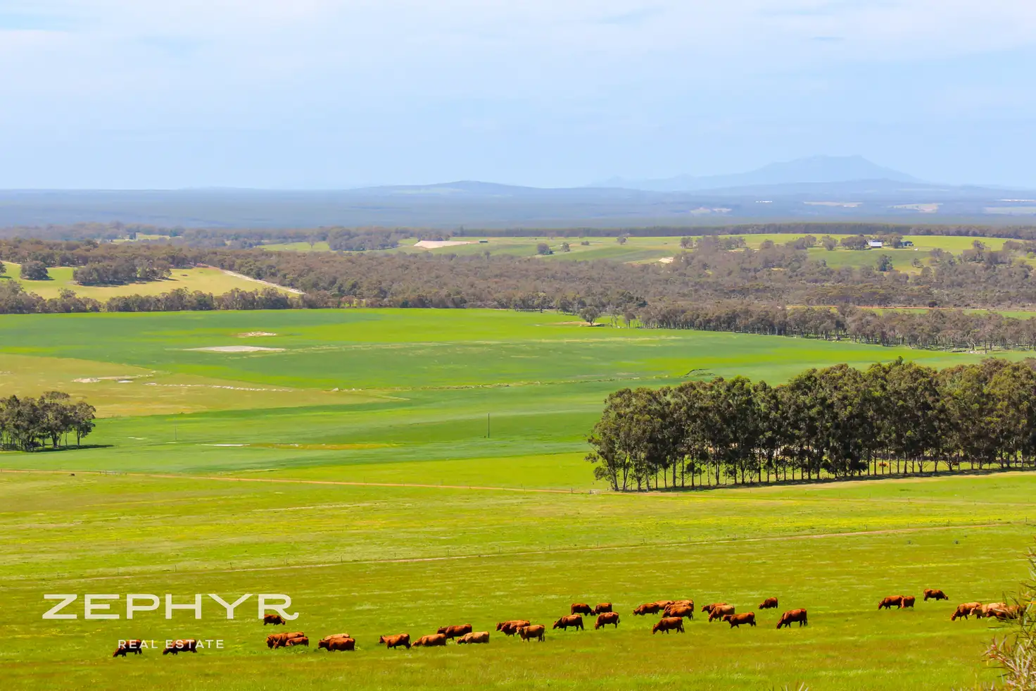 Main view of Homely rural property listing, 139 Takalarup Road, Takalarup WA 6324
