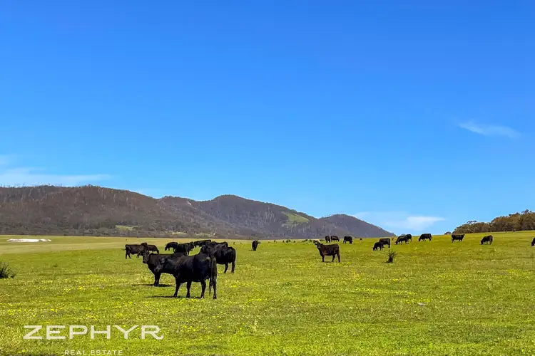 Fifth view of Homely rural property listing, 139 Takalarup Road, Takalarup WA 6324