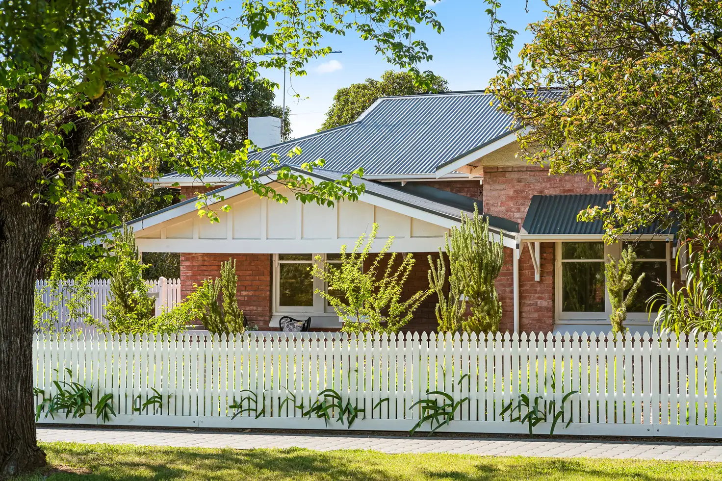 Main view of Homely house listing, 84 The Grove, Colonel Light Gardens SA 5041