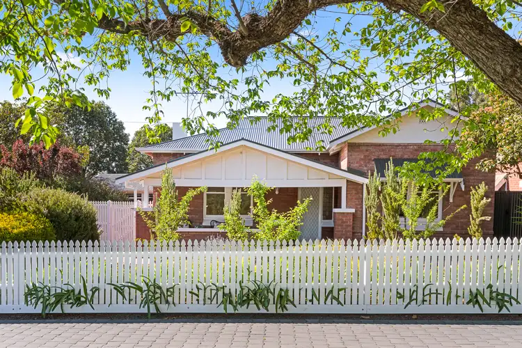 Fifth view of Homely house listing, 84 The Grove, Colonel Light Gardens SA 5041