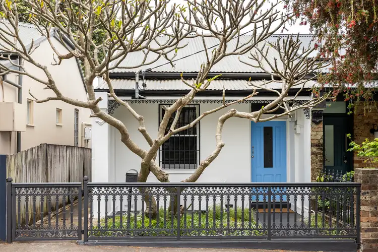 67 Catherine Street, Leichhardt NSW 2040