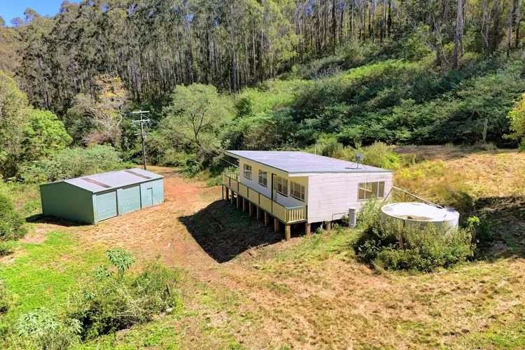 Main view of Homely rural property listing, 138 & Borhams Road, Belbora NSW 2422