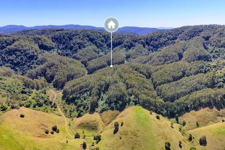 Third view of Homely rural property listing, 138 & Borhams Road, Belbora NSW 2422