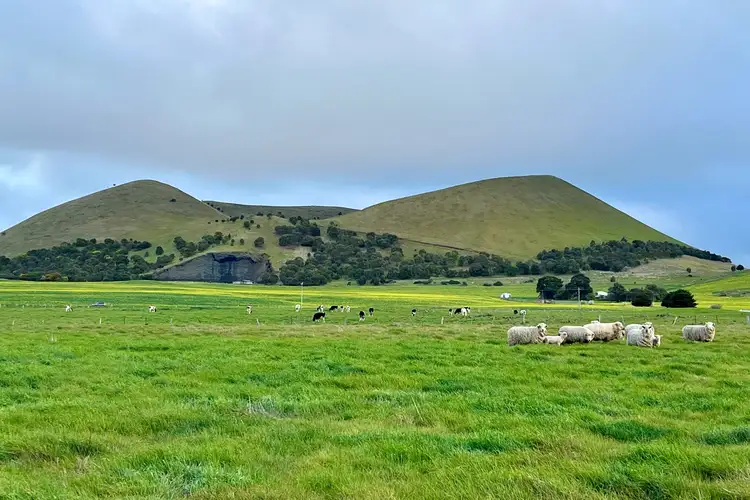 Fifth view of Homely rural property listing, 65 Chatsworth Road, Derrinallum VIC 3325