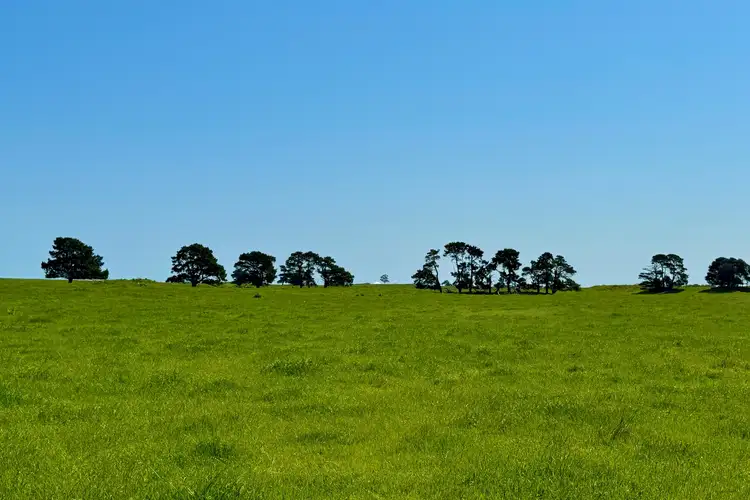 Seventh view of Homely rural property listing, 65 Chatsworth Road, Derrinallum VIC 3325