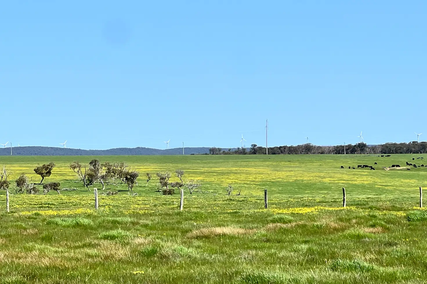 Main view of Homely land listing, LOT 252 Albany Views Private Estate - Albany Views Private Estate, Drome WA 6330