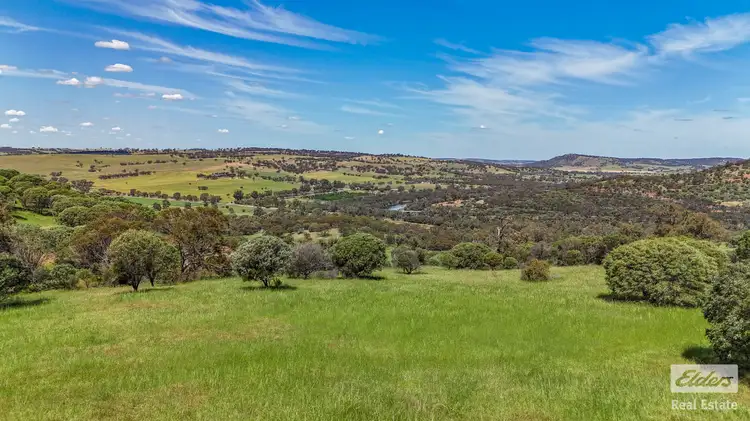 Main view of Homely land listing, 131 Nockdominie Road, Dumbarton WA 6566