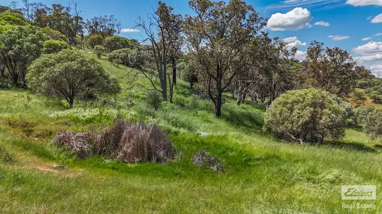 Seventh view of Homely land listing, 131 Nockdominie Road, Dumbarton WA 6566