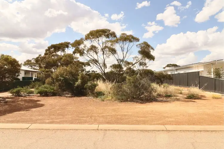 Third view of Homely land listing, 8 Shields Crescent, Wongan Hills WA 6603