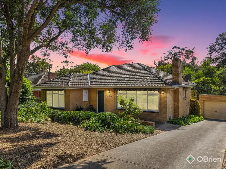Main view of Homely house listing, 23 Tasman Avenue, Nunawading VIC 3131
