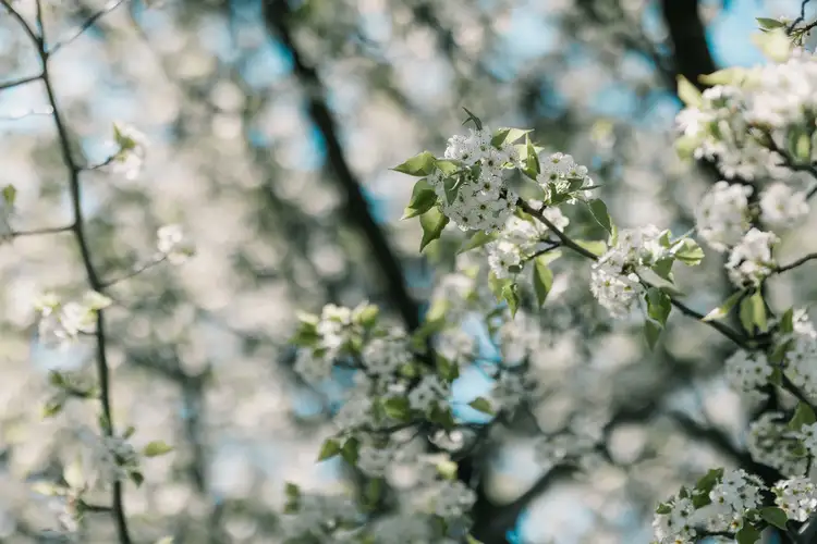 56 Warrumbul Street, Ngunnawal ACT 2913
