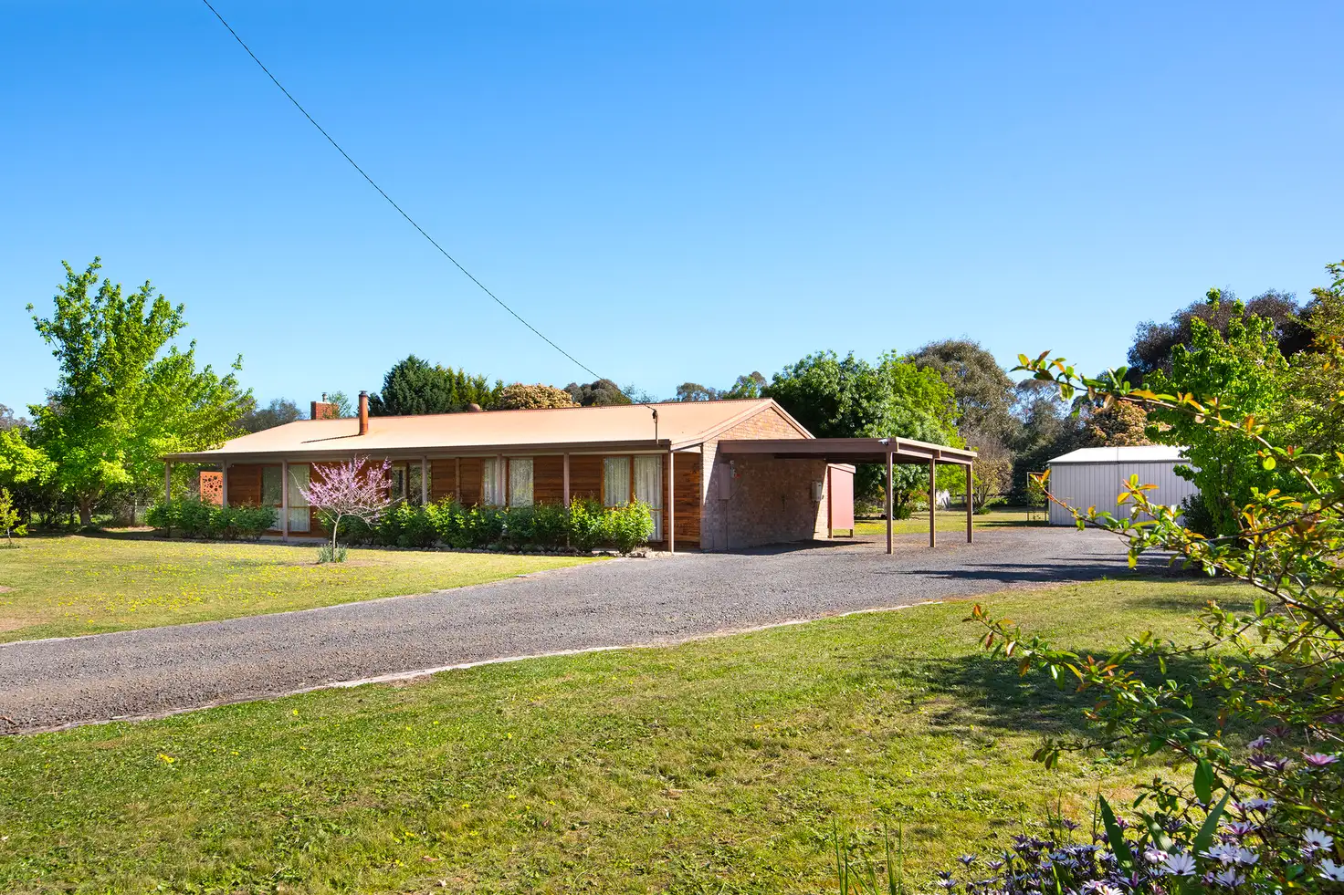 Main view of Homely house listing, 1425 Bendigo Sutton Grange Road, Sutton Grange VIC 3448