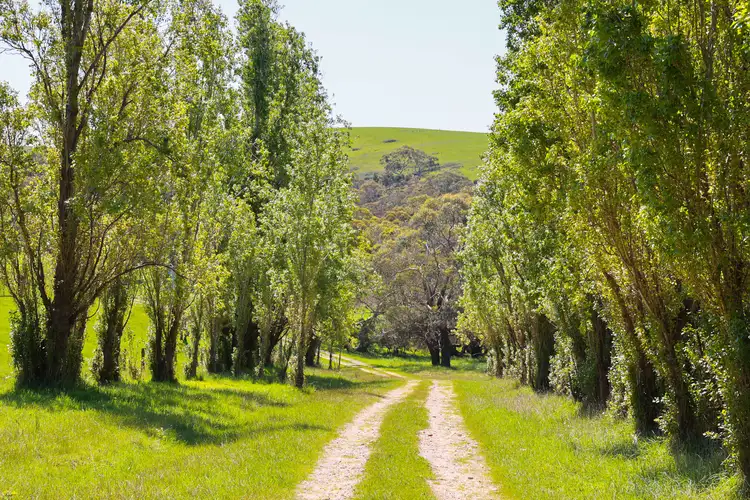 Fourth view of Homely land listing, 231 Kokoda Road, Mosquito Hill SA 5214