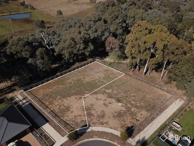 6 Hyssop Court, Baranduda VIC 3691