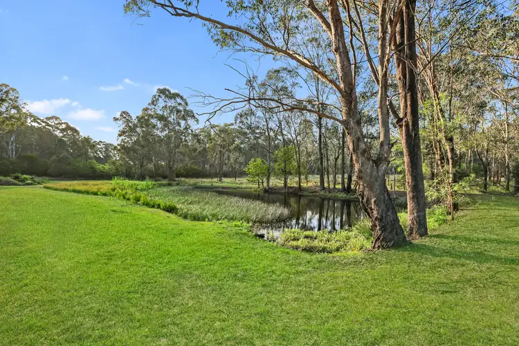 Third view of Homely rural property listing, 41 Berger Road, South Windsor NSW 2756