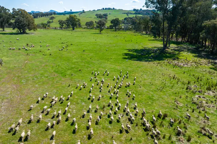 Sixth view of Homely rural property listing, 13759 Hume Highway, Mullengandra NSW 2644