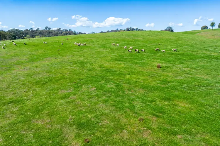 Seventh view of Homely rural property listing, 13759 Hume Highway, Mullengandra NSW 2644