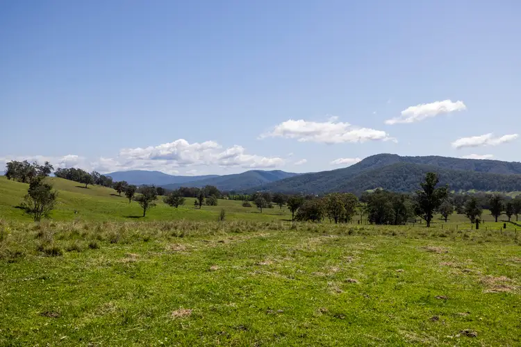 Fifth view of Homely rural property listing, Lot 47 Fosterton Road, Dungog NSW 2420