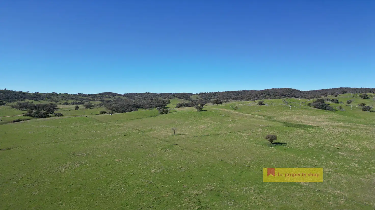 Main view of Homely rural property listing, 656 Uungula Road, Wuuluman NSW 2820