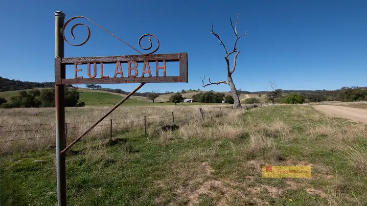 Second view of Homely rural property listing, 656 Uungula Road, Wuuluman NSW 2820