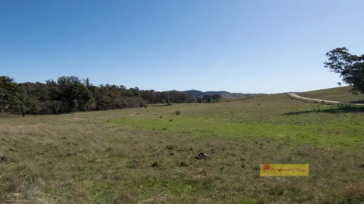 Third view of Homely rural property listing, 656 Uungula Road, Wuuluman NSW 2820
