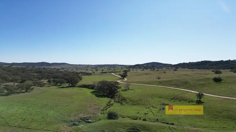 Fifth view of Homely rural property listing, 656 Uungula Road, Wuuluman NSW 2820