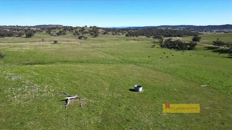 Sixth view of Homely rural property listing, 656 Uungula Road, Wuuluman NSW 2820