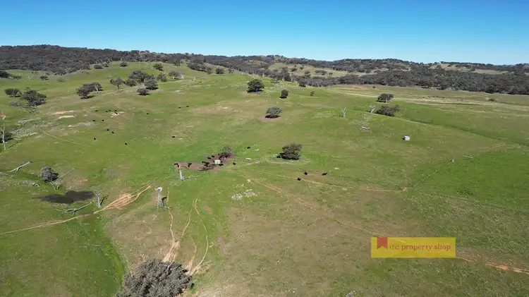 Seventh view of Homely rural property listing, 656 Uungula Road, Wuuluman NSW 2820