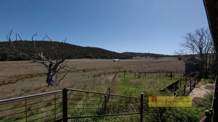 Third view of Homely rural property listing, 317 Uungula Road, Wuuluman NSW 2820